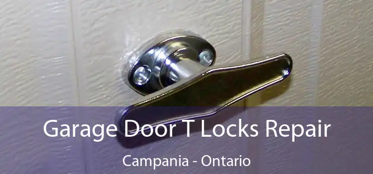 Garage Door T Locks Repair Campania - Ontario