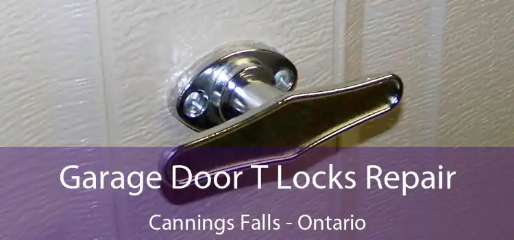 Garage Door T Locks Repair Cannings Falls - Ontario