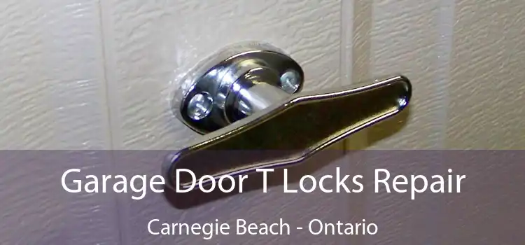 Garage Door T Locks Repair Carnegie Beach - Ontario