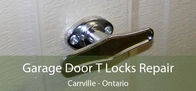 Garage Door T Locks Repair Carrville - Ontario