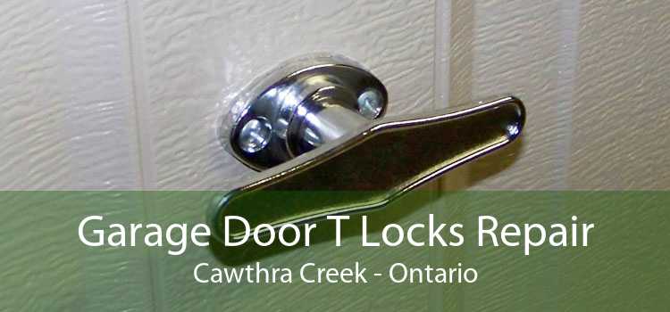 Garage Door T Locks Repair Cawthra Creek - Ontario