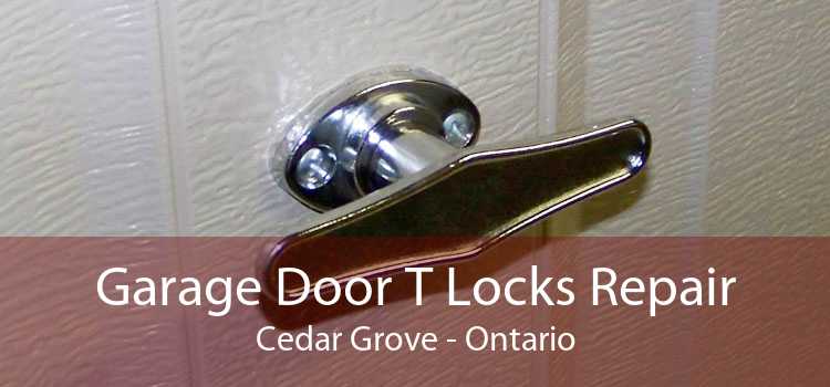 Garage Door T Locks Repair Cedar Grove - Ontario