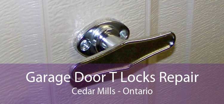 Garage Door T Locks Repair Cedar Mills - Ontario