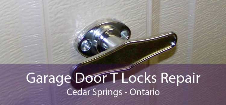 Garage Door T Locks Repair Cedar Springs - Ontario