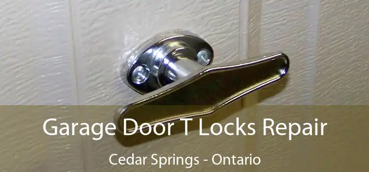 Garage Door T Locks Repair Cedar Springs - Ontario
