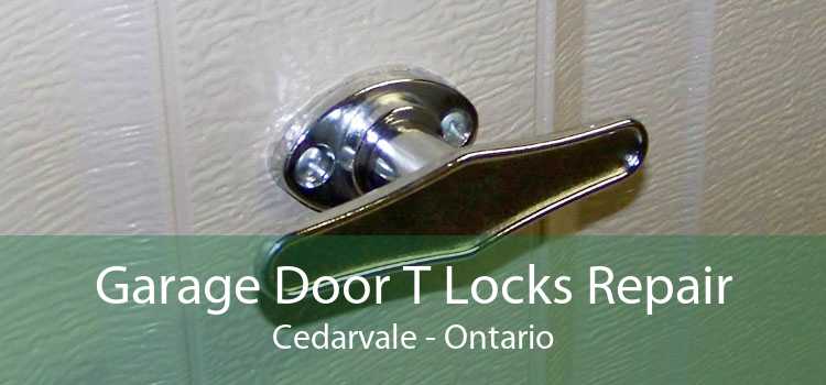 Garage Door T Locks Repair Cedarvale - Ontario