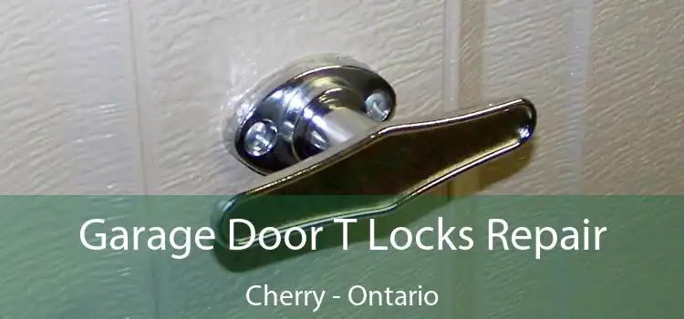 Garage Door T Locks Repair Cherry - Ontario