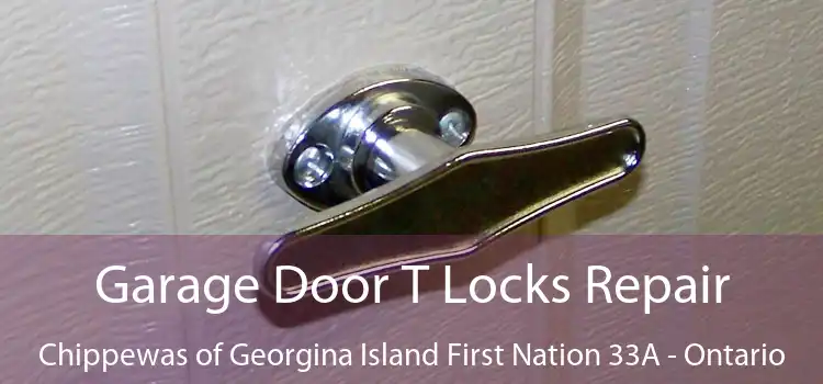 Garage Door T Locks Repair Chippewas of Georgina Island First Nation 33A - Ontario