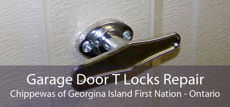 Garage Door T Locks Repair Chippewas of Georgina Island First Nation - Ontario