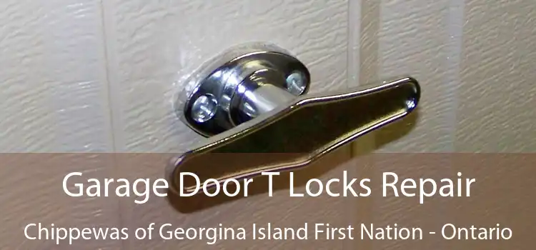 Garage Door T Locks Repair Chippewas of Georgina Island First Nation - Ontario