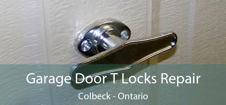 Garage Door T Locks Repair Colbeck - Ontario