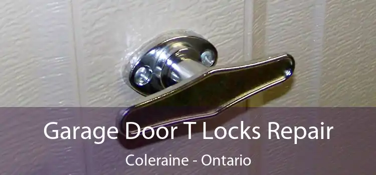 Garage Door T Locks Repair Coleraine - Ontario