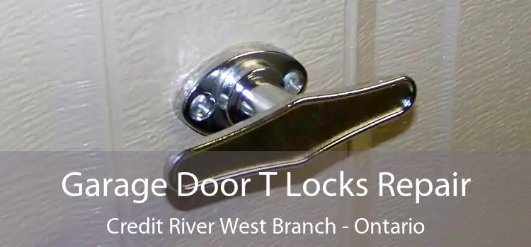 Garage Door T Locks Repair Credit River West Branch - Ontario