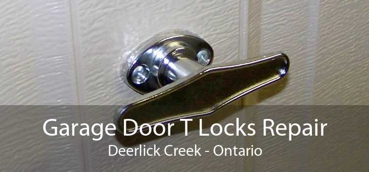 Garage Door T Locks Repair Deerlick Creek - Ontario