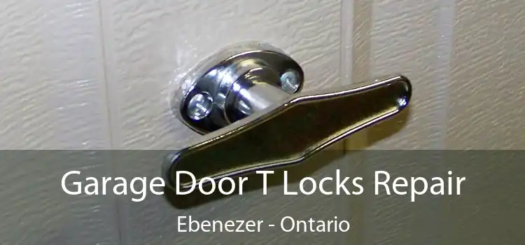 Garage Door T Locks Repair Ebenezer - Ontario