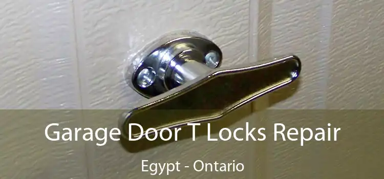 Garage Door T Locks Repair Egypt - Ontario