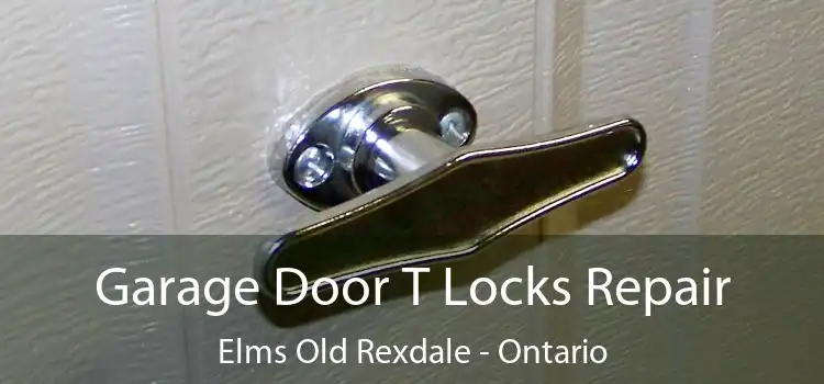 Garage Door T Locks Repair Elms Old Rexdale - Ontario
