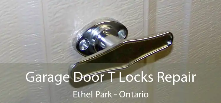 Garage Door T Locks Repair Ethel Park - Ontario
