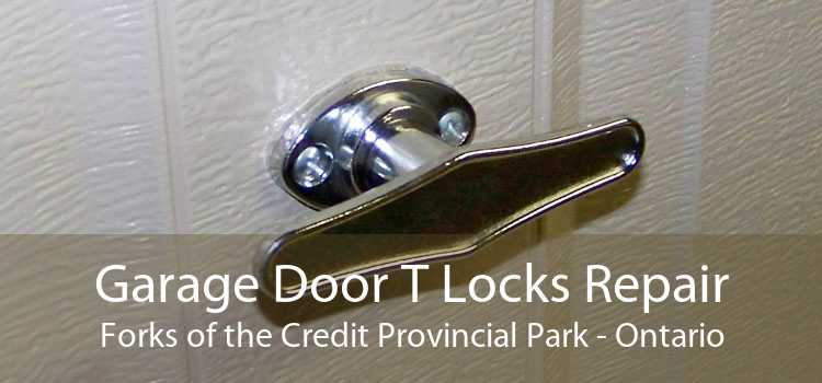 Garage Door T Locks Repair Forks of the Credit Provincial Park - Ontario