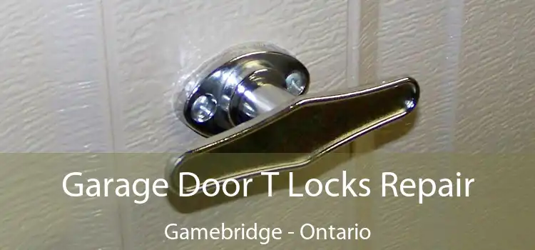 Garage Door T Locks Repair Gamebridge - Ontario