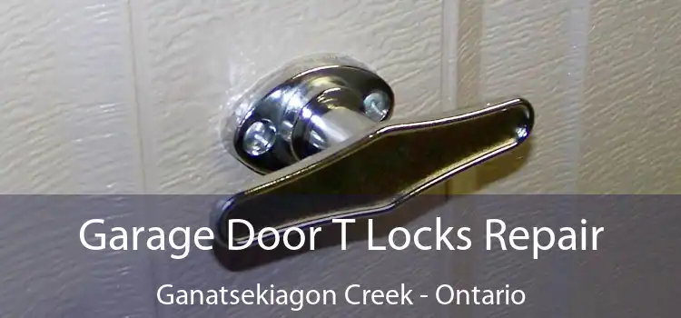 Garage Door T Locks Repair Ganatsekiagon Creek - Ontario