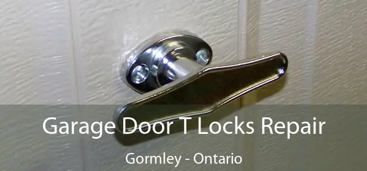 Garage Door T Locks Repair Gormley - Ontario