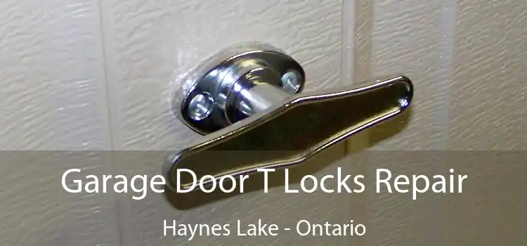 Garage Door T Locks Repair Haynes Lake - Ontario