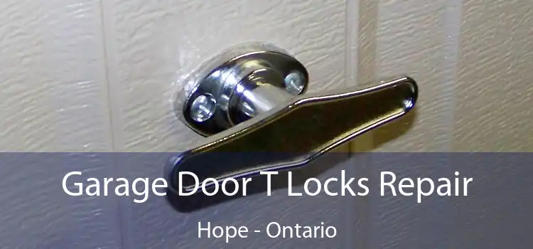 Garage Door T Locks Repair Hope - Ontario
