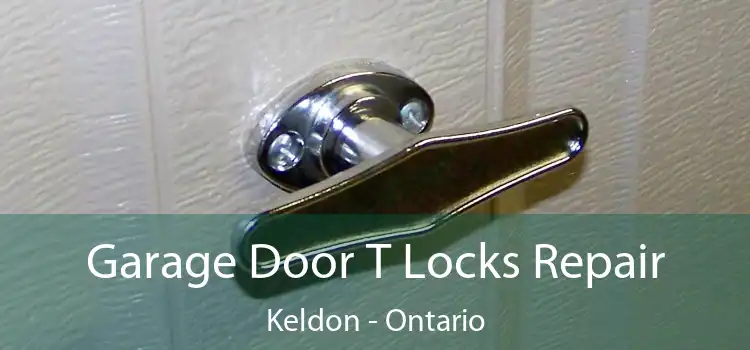 Garage Door T Locks Repair Keldon - Ontario