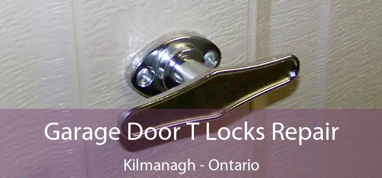 Garage Door T Locks Repair Kilmanagh - Ontario
