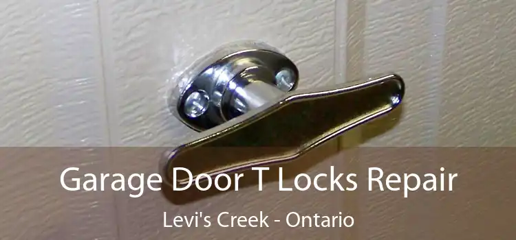 Garage Door T Locks Repair Levi's Creek - Ontario