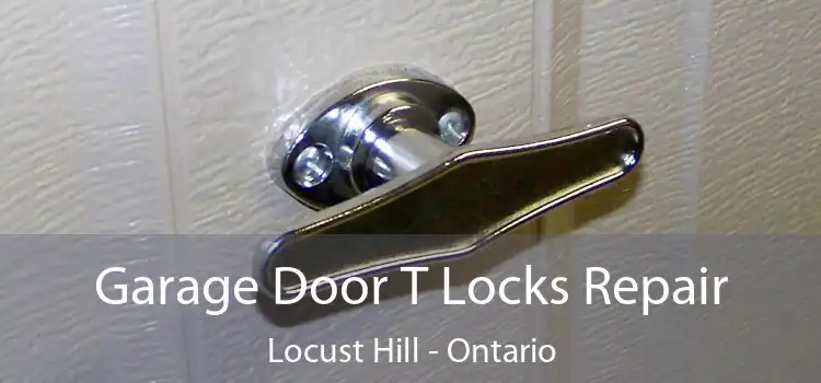Garage Door T Locks Repair Locust Hill - Ontario
