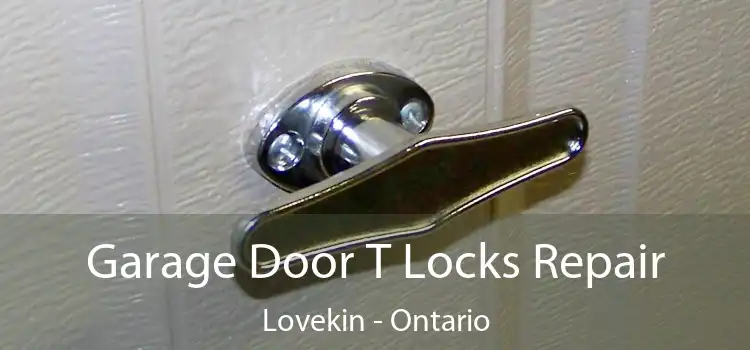 Garage Door T Locks Repair Lovekin - Ontario