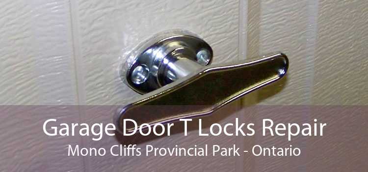 Garage Door T Locks Repair Mono Cliffs Provincial Park - Ontario