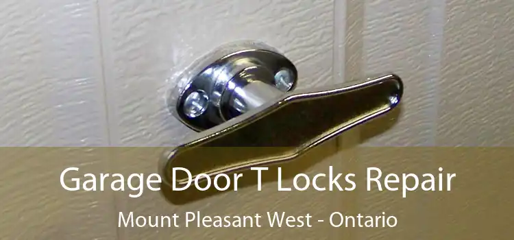 Garage Door T Locks Repair Mount Pleasant West - Ontario