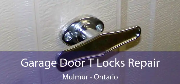 Garage Door T Locks Repair Mulmur - Ontario