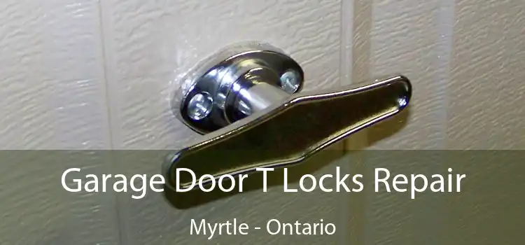 Garage Door T Locks Repair Myrtle - Ontario