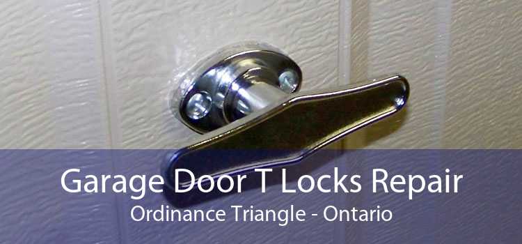 Garage Door T Locks Repair Ordinance Triangle - Ontario