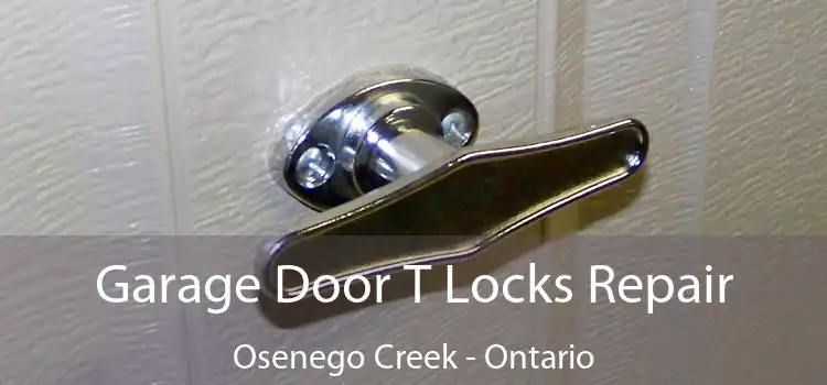 Garage Door T Locks Repair Osenego Creek - Ontario