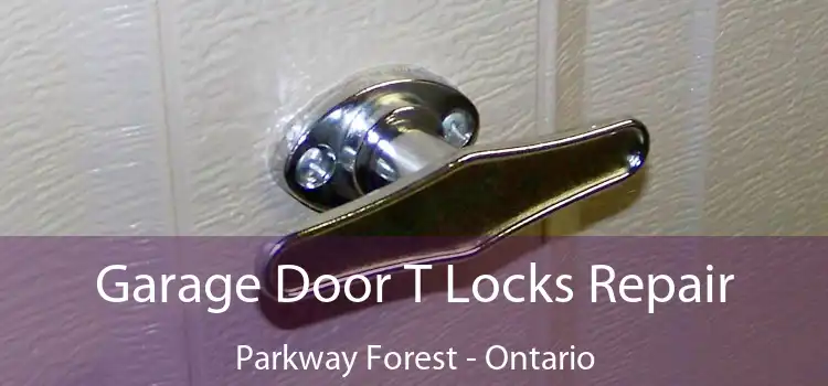 Garage Door T Locks Repair Parkway Forest - Ontario