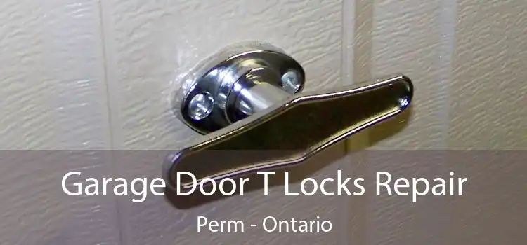 Garage Door T Locks Repair Perm - Ontario