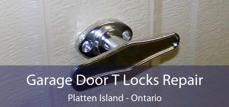 Garage Door T Locks Repair Platten Island - Ontario