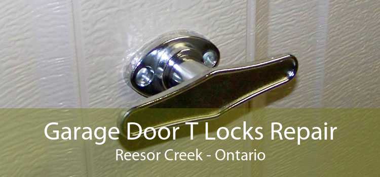 Garage Door T Locks Repair Reesor Creek - Ontario