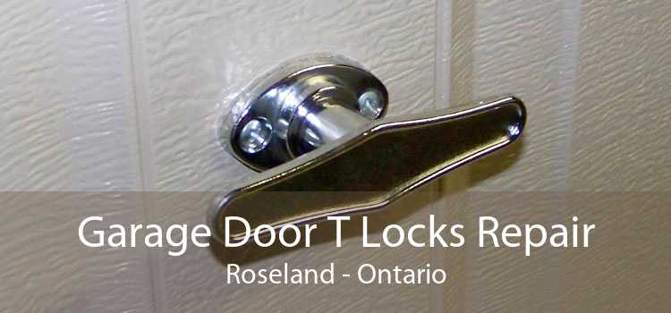 Garage Door T Locks Repair Roseland - Ontario