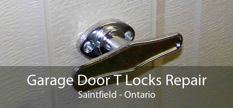 Garage Door T Locks Repair Saintfield - Ontario