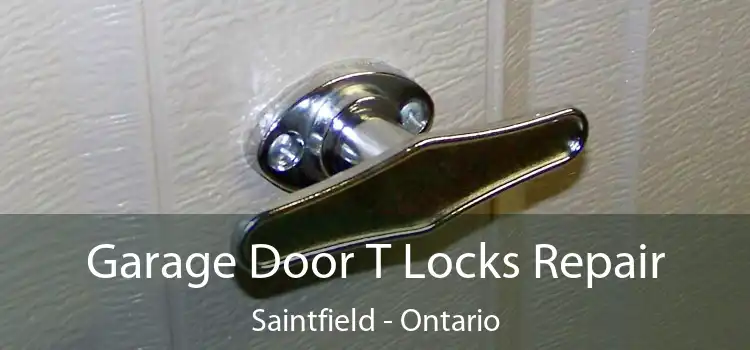 Garage Door T Locks Repair Saintfield - Ontario