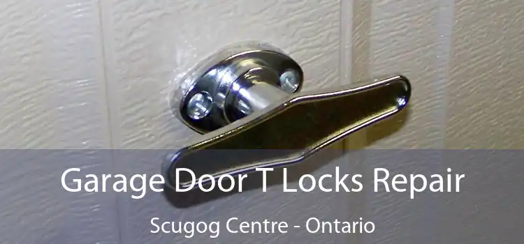 Garage Door T Locks Repair Scugog Centre - Ontario