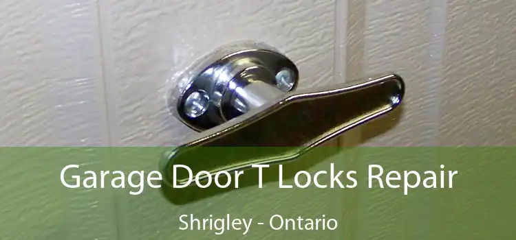 Garage Door T Locks Repair Shrigley - Ontario