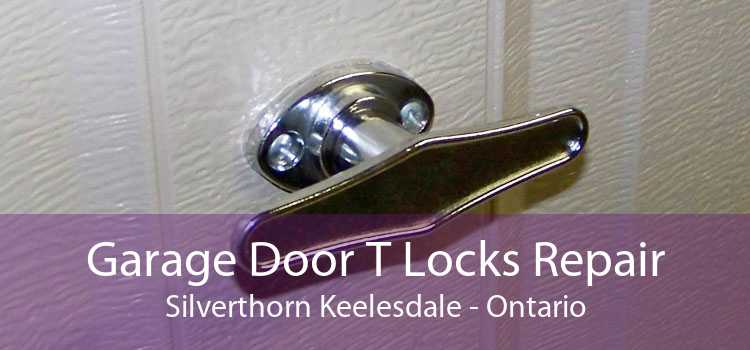 Garage Door T Locks Repair Silverthorn Keelesdale - Ontario