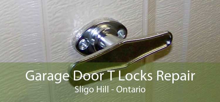 Garage Door T Locks Repair Sligo Hill - Ontario